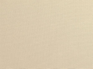 Primo Canvas 106 by Norbar Fabric 100% COTTON USA 56 - Fabric Carolina -