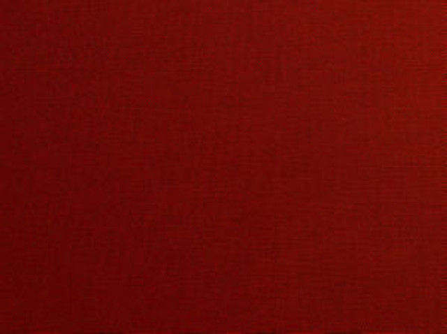 Primo Fire Engine 346 by Norbar Fabric 100% COTTON USA 30,000 WYZENBEEK 56 - Fabric Carolina -