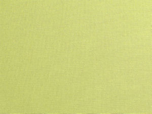 Primo Kiwi 285 by Norbar Fabric PRIMO 100% COTTON USA 56 - Fabric Carolina -