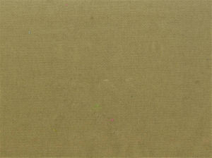 Primo Pear 288 by Norbar Fabric PRIMO 100% COTTON USA 56 - Fabric Carolina -