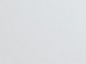 Primo White 11 by Norbar Fabric PRIMO 100% COTTON USA 56 - Fabric Carolina -