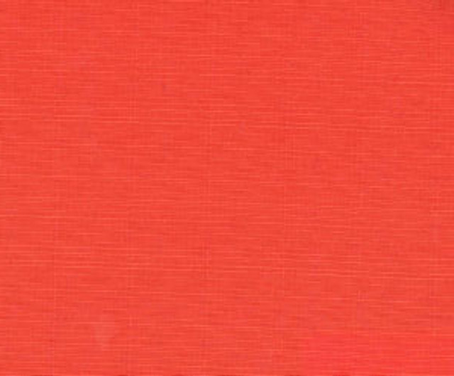 Season Watermelon by Norbar Fabric 100 POLYESTER TAIWAN 150,000 WYZENBEEK 56 - Fabric Carolina -