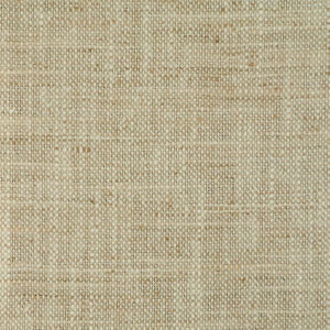 Sumo Sand 213 by Norbar Fabric ARENA 100% POLYESTER INDIA 54" - Fabric Carolina -