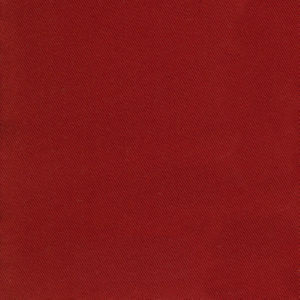 Trace Brick by Norbar Fabric CAMPO 100% COTTON USA 55 - Fabric Carolina -