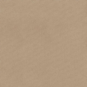 Trace Linen by Norbar Fabric CAMPO 100% COTTON USA 55 - Fabric Carolina -