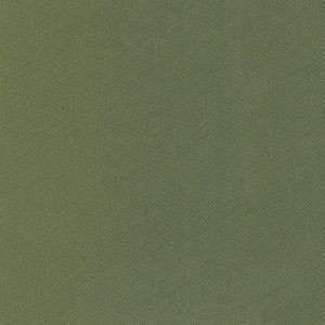 Trace Loden by Norbar Fabric CAMPO 100% COTTON USA 55 - Fabric Carolina -