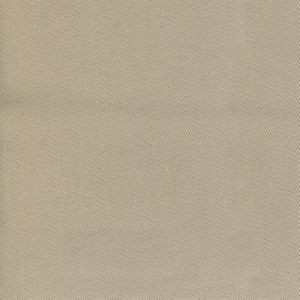 Trace Parchment by Norbar Fabric CAMPO 100% COTTON USA 55 - Fabric Carolina -