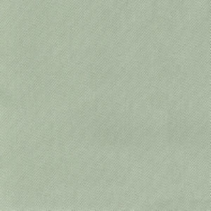 Trace Sage by Norbar Fabric CAMPO 100% COTTON USA 55 - Fabric Carolina -