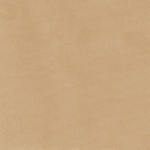 Trace Sand by Norbar Fabric CAMPO 100% COTTON USA 55 - Fabric Carolina -