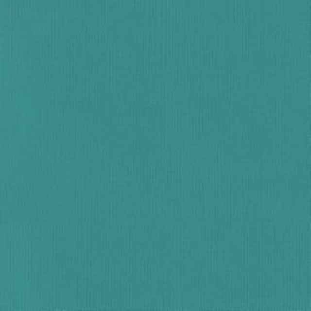 Vail Aruba by Norbar Fabric VAIL 100% COTTON INDIA 55 - Fabric Carolina -