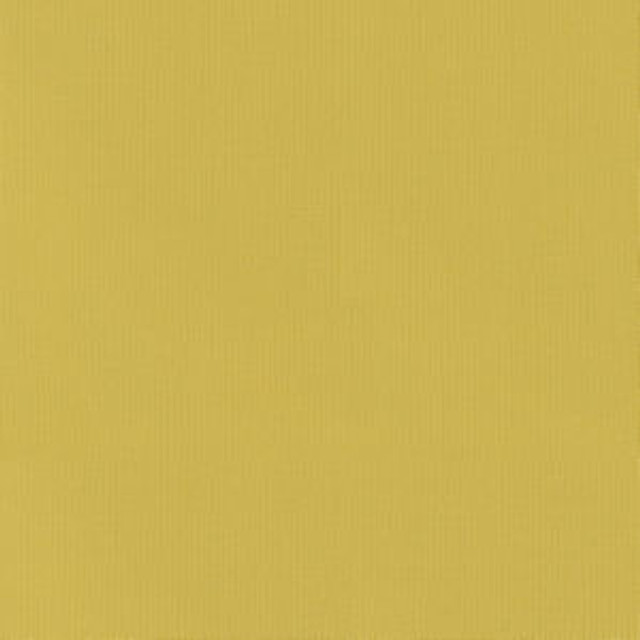 Vail Dandelion by Norbar Fabric VAIL 100% COTTON INDIA 55 - Fabric Carolina - Vail Dandelion by Norbar Fabric VAIL 100% COTTON INDIA 55 - Fabric Carolina -