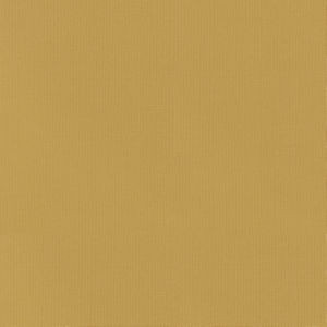 Vail Golden by Norbar Fabric VAIL 100% COTTON INDIA 55 - Fabric Carolina -