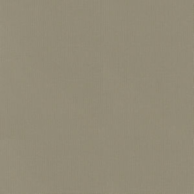 Vail Hemp by Norbar Fabric VAIL 100% COTTON INDIA 55 - Fabric Carolina -