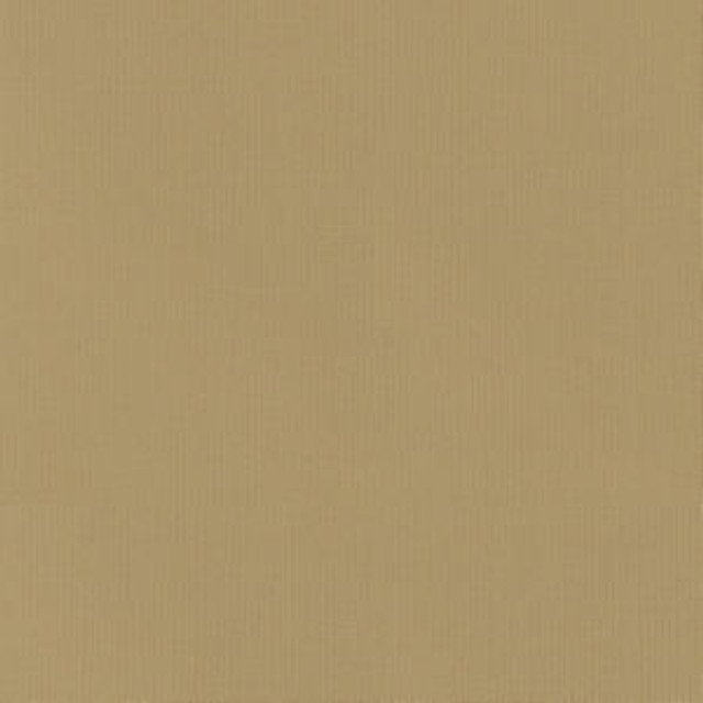 Vail Wheat by Norbar Fabric VAIL 100% COTTON INDIA 55 - Fabric Carolina -