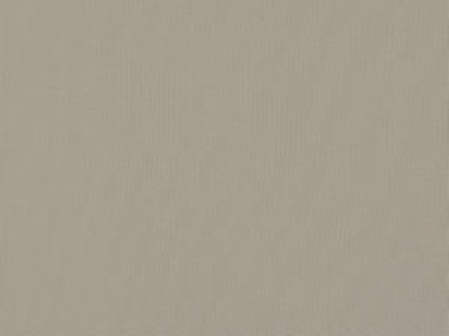Zolic Taupe 63 by Norbar Fabric SUNTASTIC 100% POLYPROPYLENE TURKEY 54 - Fabric Carolina -