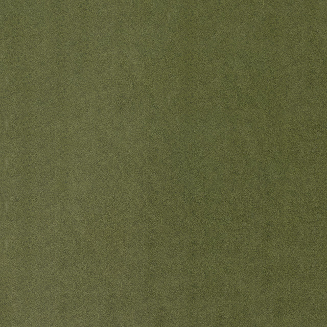 Arlo 24 Alpine by ABBEYSHEA Fabric 100% Polyester CN 105,000 Double Rubs (Wyzenbeek) </p><p>Repeat: Horizontal: and Vertical: 56 in. (142 cm) - Fabric Carolina -