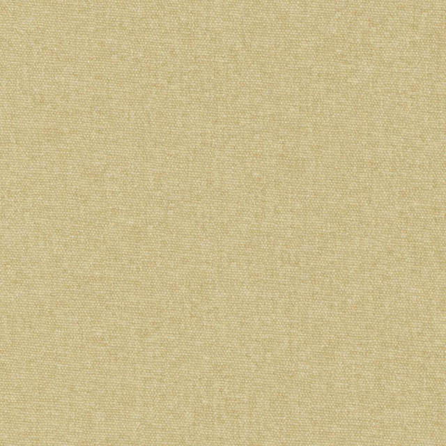 Conte # 804 Oatmeal by Maxwell Fabric Curled Up Viii 100% POLYESTER INDIA 54" - Fabric Carolina -