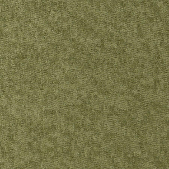 Conte # 812 Olive by Maxwell Fabric Curled Up Viii 100% POLYESTER INDIA 54" - Fabric Carolina -