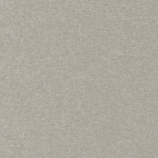 Conte # 923 Aluminium by Maxwell Fabric Curled Up Viii 100% POLYESTER INDIA 54" - Fabric Carolina -