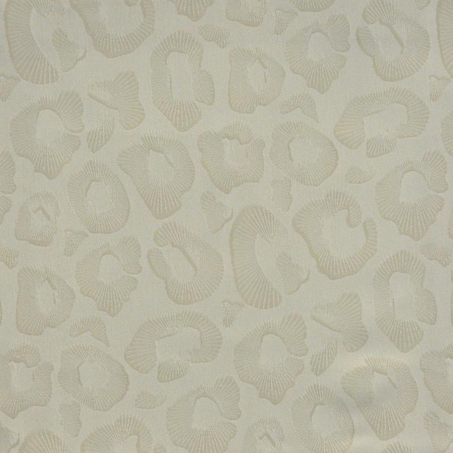 Coquina # 828 Cloud by Maxwell Fabric Performance Wovens-Vol. Vi Pampas 71% UV POLYESTER 29% UV RECYCLED POLYESTER USA V-14.4" H-14.1" 57.3" - Fabric Carolina -