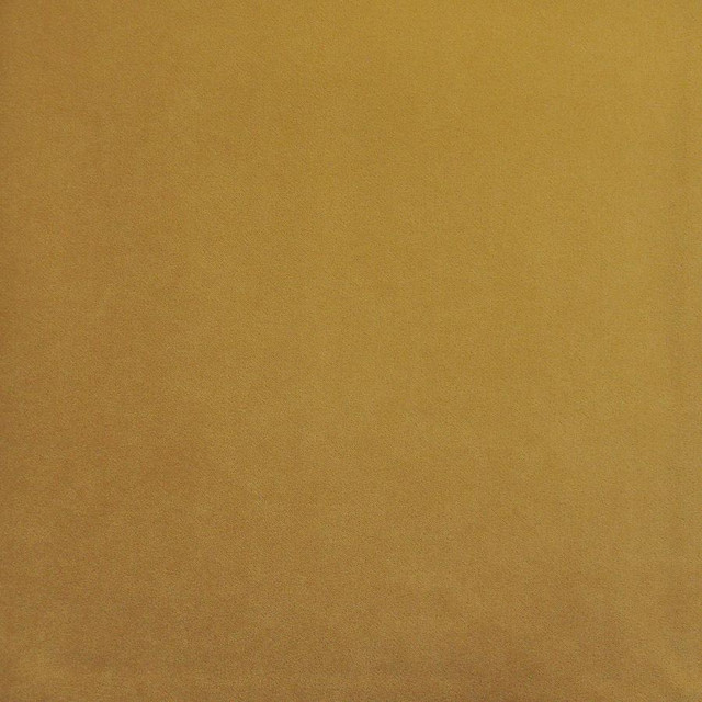 Palermo # 423 Butter by Maxwell Fabric Home & Garden-Act Vii 76% RECYLCED POLYESTER/24% POLYESTER (PILE: 100% SOLUTION-DYED RECYCLED POLYESTER) TURKEY 55" - Fabric Carolina -