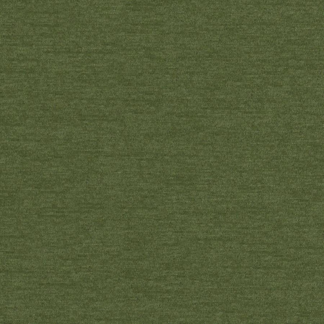 Pintura # 816 Kelp by Maxwell Fabric Curled Up Viii 100% POLYESTER CHINA 55" - Fabric Carolina -