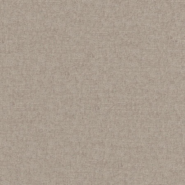 Pintura # 925 Stucco by Maxwell Fabric Curled Up Viii 100% POLYESTER CHINA 55" - Fabric Carolina -