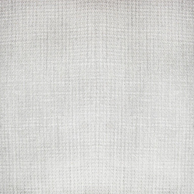 Single File Wide-Width Sheer Platinum by RM CoCo Fabric