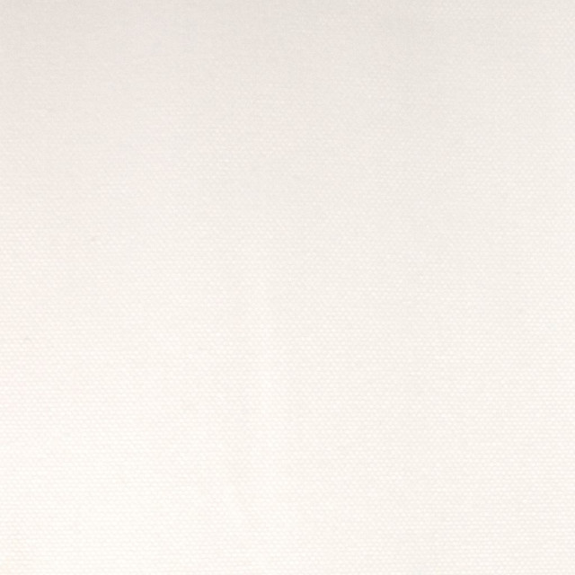 Savoy Velvet Powder by RM CoCo Fabric