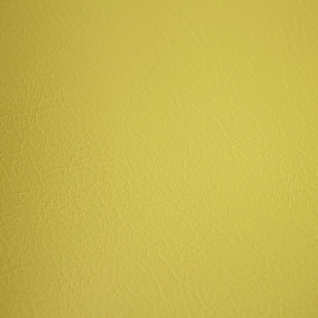 Fortitude Performance Vinyl Sage by RM CoCo Fabric