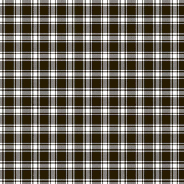 Geneviève Check Graphite by RM CoCo Fabric