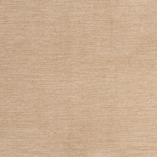 D3840 by Charlotte Fabric Classic Velvet II 90% Polyester, 10% Nylon Asia Exceeds 240,000 Wyzenbeek Rubs (Heavy Duty) No Repeat 54 Inches - Fabric Carolina -