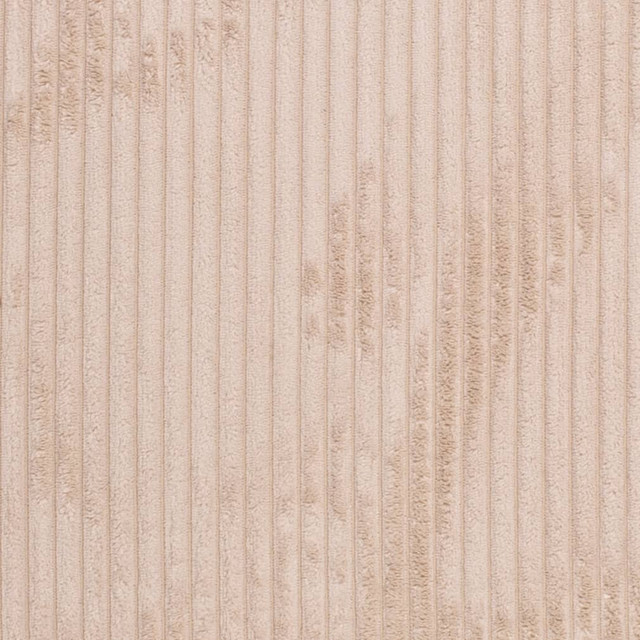 D3928 by Charlotte Fabric Ridges 90% Polyester, 10% Nylon Asia Exceeds 150,000 Wyzenbeek Rubs (Heavy Duty) No Repeat 54 Inches - Fabric Carolina -