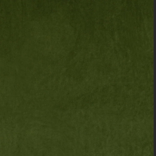 Ashwan - Grass by Europatex Fabric Ashwan 100% Polyester China See Sample Horizontal: N/A and Vertical: N/A 58.00 inches  - Fabric Carolina -