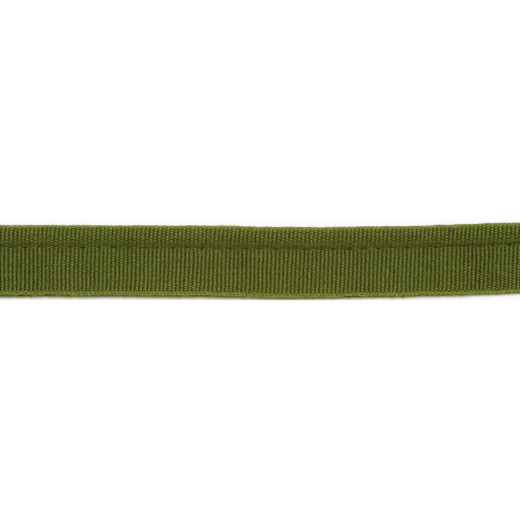 Versailles 1/4" Grosgrain Ribbon - Olive by Europatex Fabric Versailles 64% Rayon, 34% Cotton, 2% Polyester China See Sample Horizontal: N/A and Vertical: N/A 0.25 inches  - Fabric Carolina -
