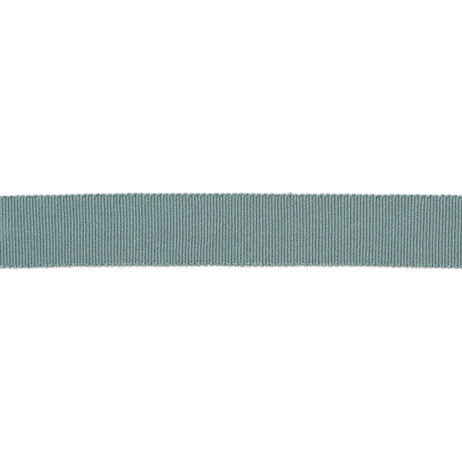 Versailles 7/8" Grosgrain Ribbon - Aqua by Europatex Fabric Versailles 100% Rayon China See Sample Horizontal: N/A and Vertical: N/A 0.88 inches  - Fabric Carolina -