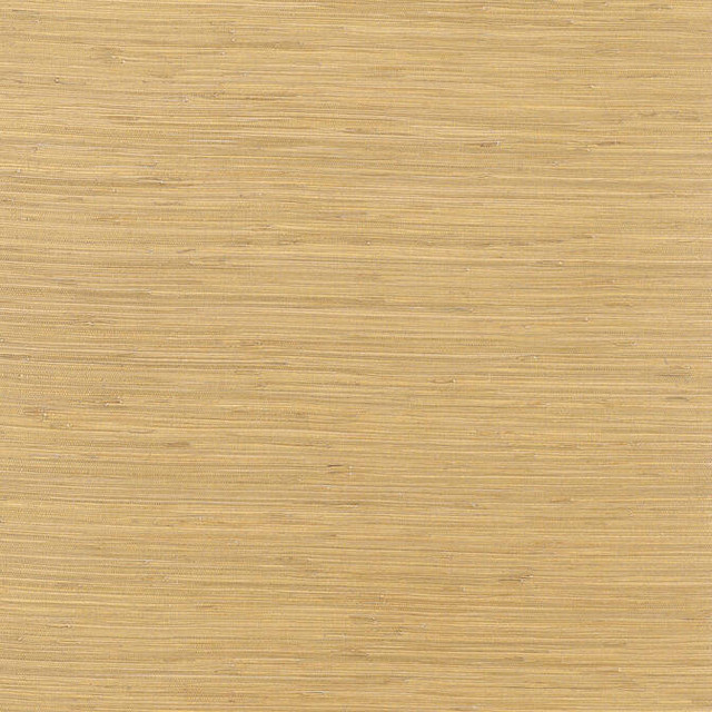 Rush Cloth Metallic Gold T3694 by Thibaut Wallpaper Thibaut Wallpaper Rush Cloth Metallic Gold T3694Wallpaper Grasscloth Resource 2 Rush Cloth KOREA </p><p>Repeat: V: - 36 - Fabric Carolina -