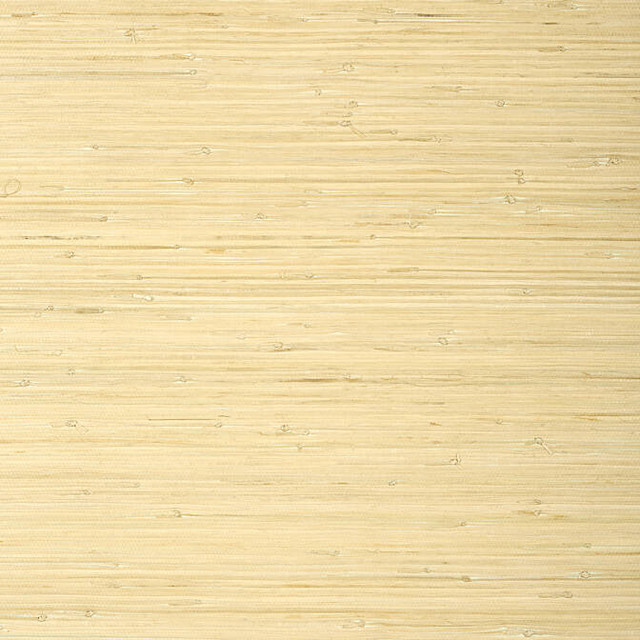 Raffia Palm Natural T24065 by Thibaut Wallpaper Thibaut Wallpaper Raffia Palm Natural T24065Wallpaper Grasscloth Resource 5 Raffia KOREA </p><p>Repeat: V: - 36 - Fabric Carolina -