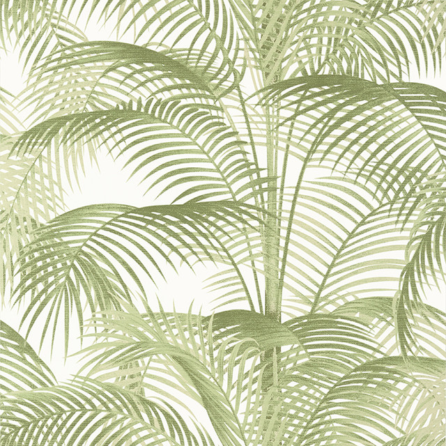 Delray Sage T13939 by Thibaut Wallpaper Thibaut Wallpaper Delray Sage T13939Wallpaper Palm Grove Non Woven Wallpaper UNITED KINGDOM </p><p>Repeat: V: 27.5 27 - Fabric Carolina - Delray Sage T13939 by Thibaut Wallpaper Thibaut Wallpaper Delray Sage T13939Wallpaper Palm Grove Non Woven Wallpaper UNITED KINGDOM </p><p>Repeat: V: 27.5 27 - Fabric Carolina -