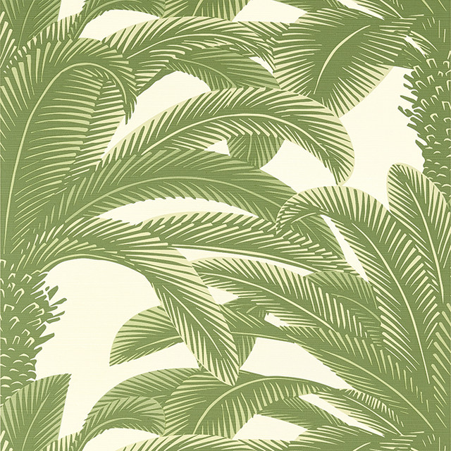 Queen Palm Sage T13911 by Thibaut Wallpaper Thibaut Wallpaper Queen Palm Sage T13911Wallpaper Palm Grove Non-Woven Vinyl Wallpaper U.S.A. </p><p>Repeat: V: 25 27 - Fabric Carolina - Queen Palm Sage T13911 by Thibaut Wallpaper Thibaut Wallpaper Queen Palm Sage T13911Wallpaper Palm Grove Non-Woven Vinyl Wallpaper U.S.A. </p><p>Repeat: V: 25 27 - Fabric Carolina -