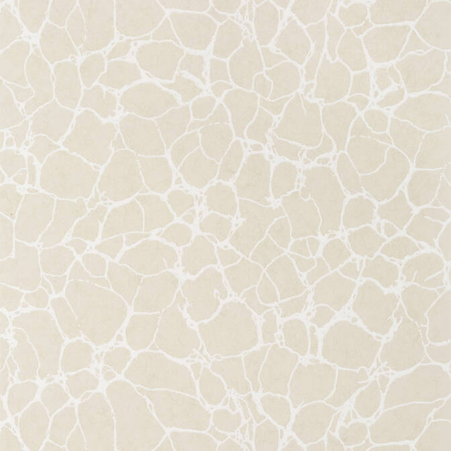 Amato Beige T4014 by Thibaut Wallpaper Thibaut Wallpaper Amato Beige T4014Wallpaper Surface Resource Non Woven Wallpaper U.S.A. </p><p>Repeat: V: 25.25 27 - Fabric Carolina -