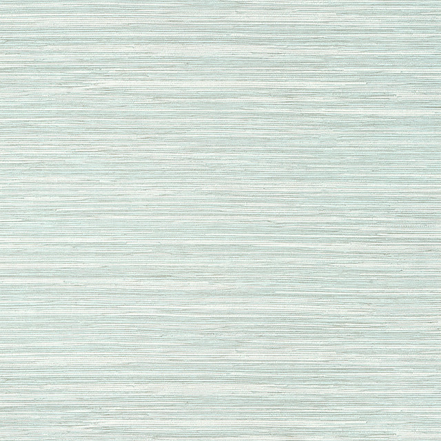 Normandy Robin's Egg TWW14553 by Thibaut Wallpaper Thibaut Wallpaper Normandy Robin's Egg TWW14553Wallpaper Texture Resource 8 Non-Woven Vinyl Wallpaper UNITED STATES </p><p>Repeat: V: 20 54 - Fabric Carolina -