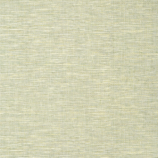 Spiro Spring TWW14585 by Thibaut Wallpaper Thibaut Wallpaper Spiro Spring TWW14585Wallpaper Texture Resource 8 Non-Woven Vinyl Wallpaper UNITED STATES </p><p>Repeat: V: 0 54 - Fabric Carolina -