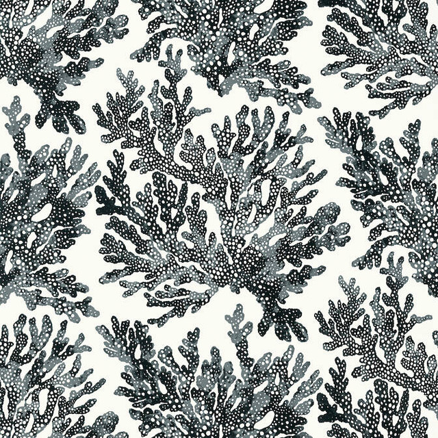 Marine Coral Black T10123 by Thibaut Wallpaper Thibaut Wallpaper Marine Coral Black T10123Wallpaper Tropics Wallpaper U.S.A. </p><p>Repeat: V: 25.25 27 - Fabric Carolina - Marine Coral Black T10123 by Thibaut Wallpaper Thibaut Wallpaper Marine Coral Black T10123Wallpaper Tropics Wallpaper U.S.A. </p><p>Repeat: V: 25.25 27 - Fabric Carolina -