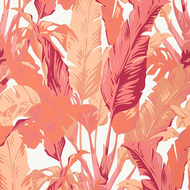 Travelers Palm Pink and Coral T10130 by Thibaut Wallpaper Thibaut Wallpaper Travelers Palm Pink and Coral T10130Wallpaper Tropics Non Woven Wallpaper UNITED KINGDOM </p><p>Repeat: V: 40 27 - Fabric Carolina - Travelers Palm Pink and Coral T10130 by Thibaut Wallpaper Thibaut Wallpaper Travelers Palm Pink and Coral T10130Wallpaper Tropics Non Woven Wallpaper UNITED KINGDOM </p><p>Repeat: V: 40 27 - Fabric Carolina -