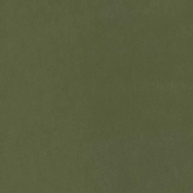 Miles Mohair Velvet Ivy W72822 by Thibaut Fabric Thibaut Fabric Miles Mohair Velvet Ivy W72822Fabric Woven Res 13: Fusion Velvet 51% Mohair, 49% Cotton NETHERLANDS </p><p>Repeat: V: - 54 - Fabric Carolina - Miles Mohair Velvet Ivy W72822 by Thibaut Fabric Thibaut Fabric Miles Mohair Velvet Ivy W72822Fabric Woven Res 13: Fusion Velvet 51% Mohair, 49% Cotton NETHERLANDS </p><p>Repeat: V: - 54 - Fabric Carolina -