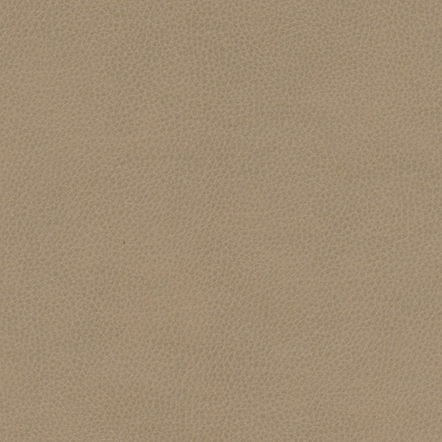 Top Grain-Nj # 864 Grey Hound by Maxwell Fabric Memos Only-Coated Fabrics FACE: 100% SILICONE
BACKING: 100% POLYESTER KOREA 54" - Fabric Carolina -