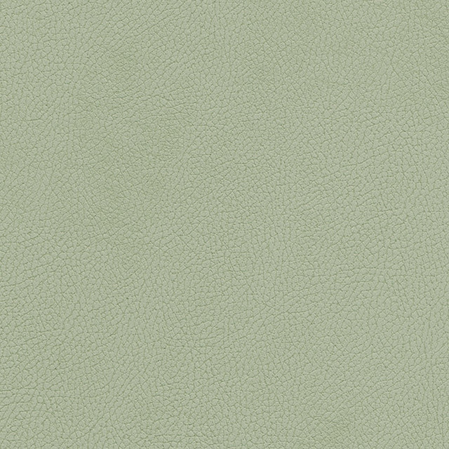 Tannery-Nj # 115 Sprig by Maxwell Fabric Memos Only-Coated Fabrics FACE: 100% POLYURETHANE
BACKING: 65% POLYESTER
35% RAYON KOREA 54" - Fabric Carolina -