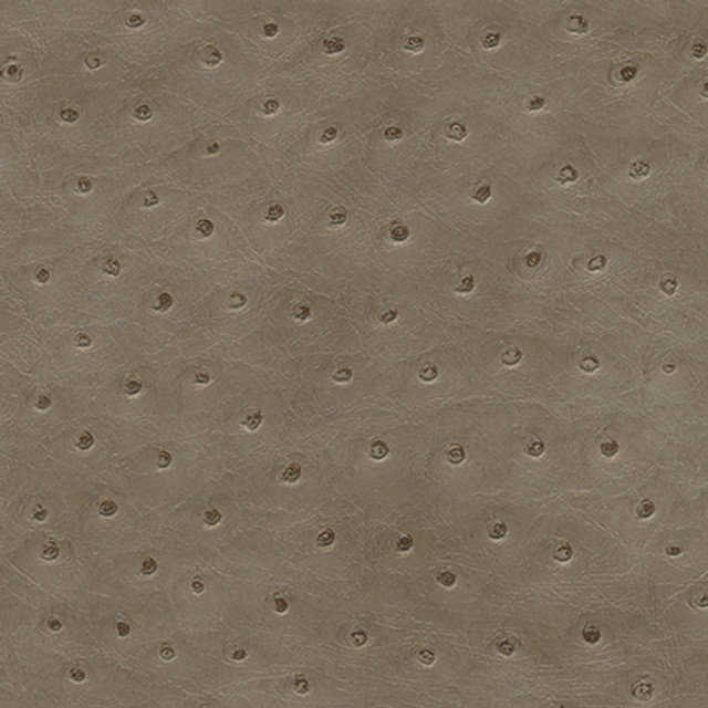 Twitter-Nj # 290 Pigeon by Maxwell Fabric Memos Only-Coated Fabrics FACE: 100% PVC
BACKING: 65% POLYESTER
35% COTTON KOREA 54" - Fabric Carolina - Twitter-Nj # 290 Pigeon by Maxwell Fabric Memos Only-Coated Fabrics FACE: 100% PVC
BACKING: 65% POLYESTER
35% COTTON KOREA 54" - Fabric Carolina -