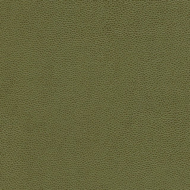 Rambutan-Nj # 761 Bush by Maxwell Fabric Memos Only-Coated Fabrics FACE: 100% POLYURETHANE
BACKING: 100% POLYESTER KOREA 54" - Fabric Carolina -